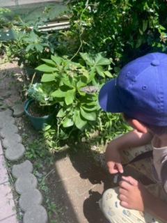 image3_16.jpeg