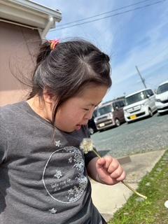 image4_6.jpeg