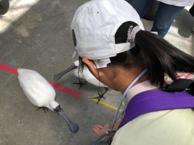 image3_11.jpeg