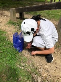 image3_20.jpeg