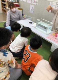 image4_2.jpeg